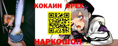 МДПВ Дубна