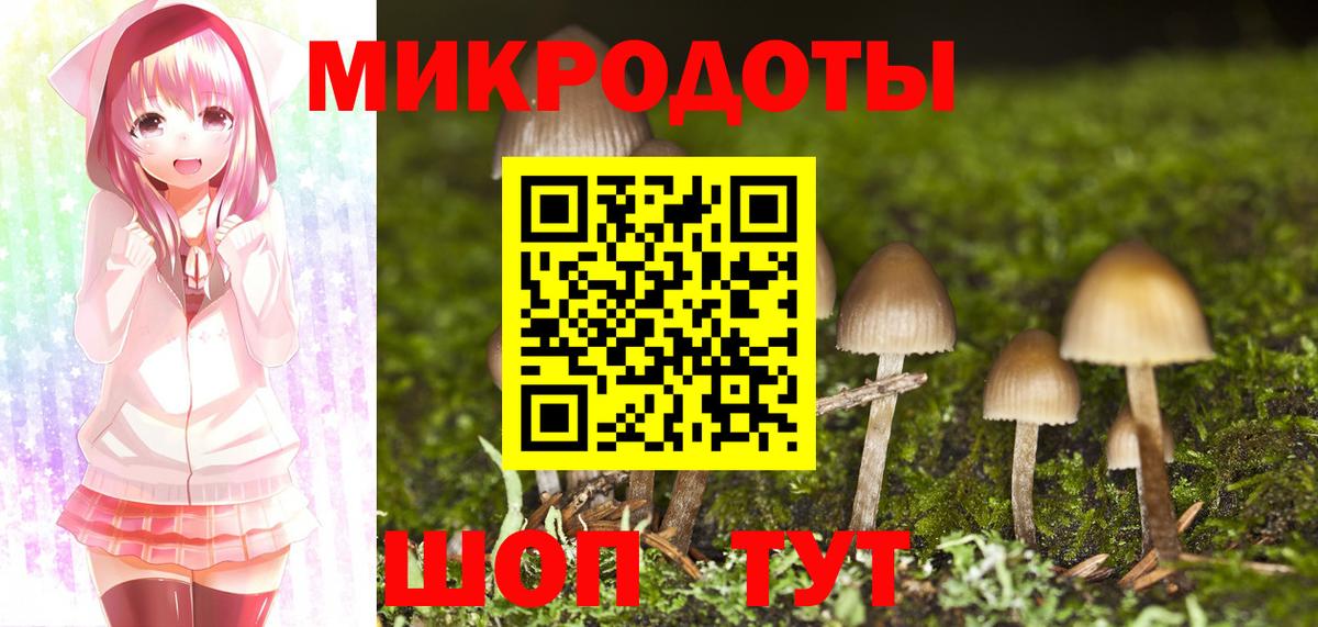 Псилоцибиновые грибы прущие грибы Малгобек