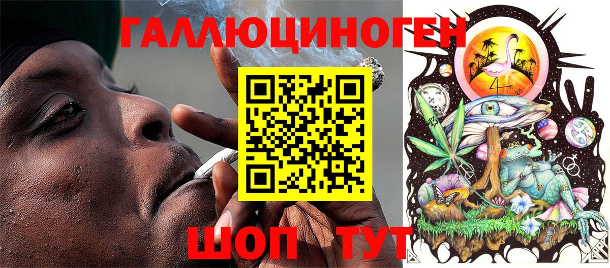 Галлюциногенные грибы Magic Shrooms  Вход с VPN  Малгобек  Галлюциногенные грибы GOLDEN TEACHER 